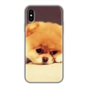 Чехол (ТПУ) Милые собачки для iPhone Xs Max (Померанский шпиц)