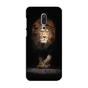Чехол с картинкой на Meizu 15 (Красивый Лев)