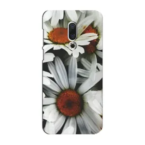 Чехол с ромашками на Meizu 16 Plus (Цветы Ромашки)