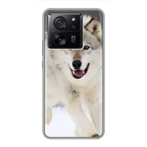 Чехол с Волком на Meizu 22 (Волк на снегу)