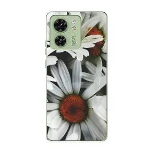 Чохол з ромашками на Motorola Edge 40 (Квіти Ромашки)