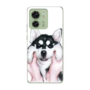 Бампер для Motorola Edge 40 з картинкою "Песики" (Собака Хаскі)
