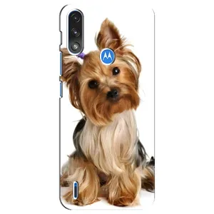 Чохол (ТПУ) Милі песики для Motorola E7 Power (Пес Терьєр)
