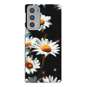 Чохол з ромашками на Motorola Edge 20 (Білі ромашки)