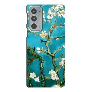 Чохол з картинкою Сакури на Motorola Edge 20 (Цвітіння Сакури)