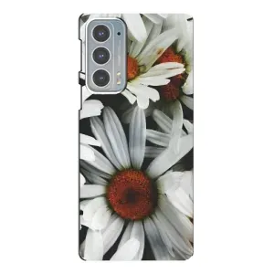 Чохол з ромашками на Motorola Edge 20 (Квіти Ромашки)