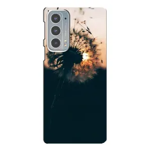 Силиконовый Чехол с одуванчиками на Motorola Edge 20 (Красивый одуванчик)