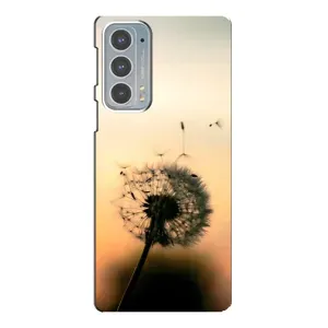 Силиконовый Чехол с одуванчиками на Motorola Edge 20 (Роздумаханый одуванчик)