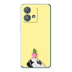 Бампер для Motorola Edge 40 Neo с картинкой "Песики" (Кактус на голове)