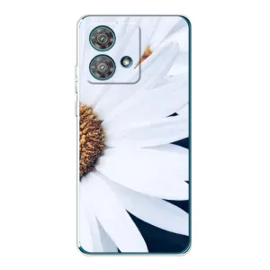 Чехол с ромашками на Motorola Edge 40 Neo (Пол ромашки)