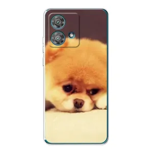 Чехол (ТПУ) Милые собачки для Motorola Edge 40 Neo (Померанский шпиц)