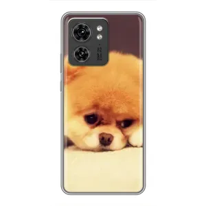 Чехол (ТПУ) Милые собачки для Motorola Edge 40 Pro (Померанский шпиц)