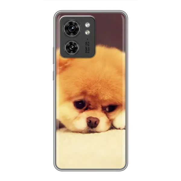 Чехол с рисунком «Померанский шпиц» для Motorola Edge 40 Pro Чехол с рисунком «Померанский шпиц» для Motorola Edge 40 Pro