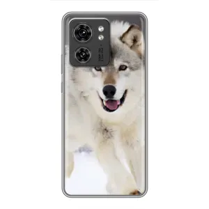 Чехол с Волком на Motorola Edge 40 Pro (Волк на снегу)