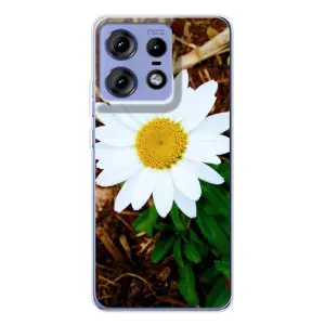Чехол с ромашками на Motorola Edge 50 Pro (Белая ромашка)