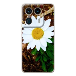 Чехол с ромашками на Motorola Edge 50 Ultra (Белая ромашка)