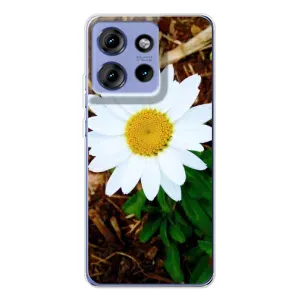 Чохол з ромашками на Motorola Edge 50 (Біла ромашка)