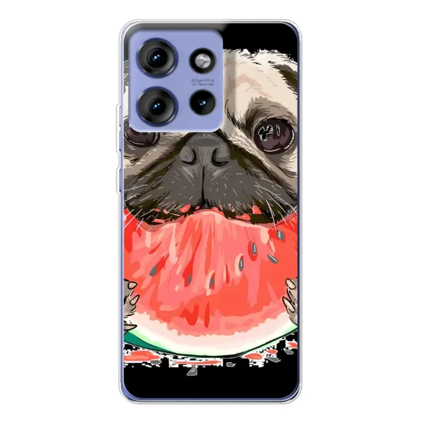 Чехол с рисунком «Смешной Мопс» для Motorola Edge 50 Чехол с рисунком «Смешной Мопс» для Motorola Edge 50