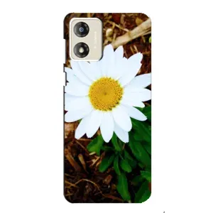 Чехол с ромашками на Motorola MOTO E13 (Белая ромашка)