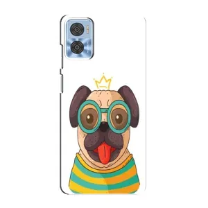 Бампер для Motorola MOTO E22 з картинкою "Песики" (Собака Король)