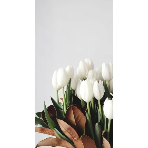 Чехол с рисунком «Букет тюльпанов» для Motorola E7 Power Чехол с рисунком «Букет тюльпанов» для Motorola E7 Power