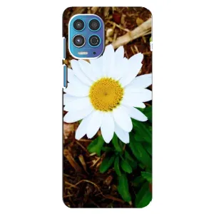 Чехол с ромашками на Motorola MOTO G100 (Белая ромашка)