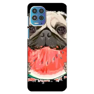 Чехол (ТПУ) Милые собачки для Motorola MOTO G100 (Смешной Мопс)