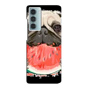 Чехол (ТПУ) Милые собачки для Motorola MOTO G200 (Смешной Мопс)