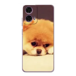 Чехол (ТПУ) Милые собачки для Motorola MOTO G24 Power (Померанский шпиц)