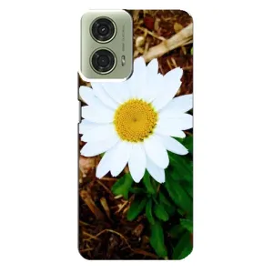 Чехол с ромашками на Motorola MOTO G24 (Белая ромашка)