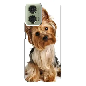 Чехол (ТПУ) Милые собачки для Motorola MOTO G24 (Собака Терьер)