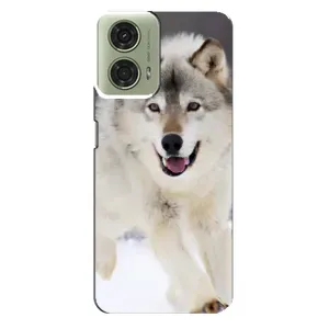 Чехол с Волком на Motorola MOTO G24 (Волк на снегу)