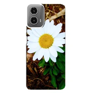 Чехол с ромашками на Motorola MOTO G34 (Белая ромашка)