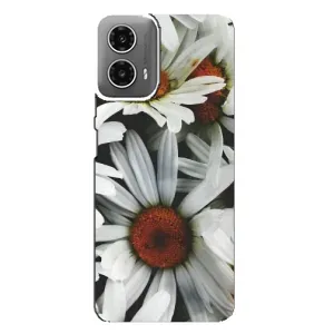 Чехол с ромашками на Motorola MOTO G34 (Цветы Ромашки)
