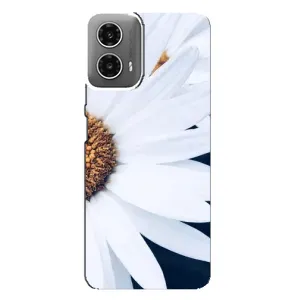 Чехол с ромашками на Motorola MOTO G34 (Пол ромашки)