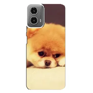 Чехол (ТПУ) Милые собачки для Motorola MOTO G34 (Померанский шпиц)