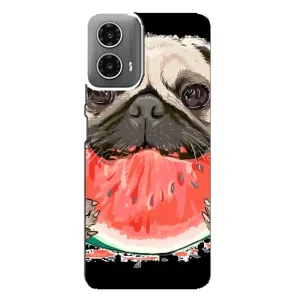 Чехол (ТПУ) Милые собачки для Motorola MOTO G34 (Смешной Мопс)