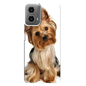Чехол (ТПУ) Милые собачки для Motorola MOTO G34 (Собака Терьер)