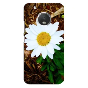 Чехол с ромашками на Motorola MOTO G5 Plus (Белая ромашка)