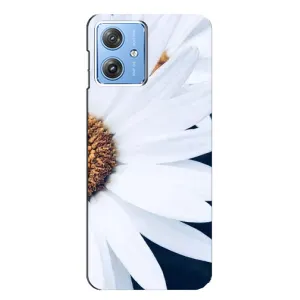 Чехол с ромашками на Motorola MOTO G54 / G54 Power (Пол ромашки)