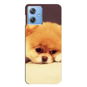 Чехол (ТПУ) Милые собачки для Motorola MOTO G54 / G54 Power (Померанский шпиц)