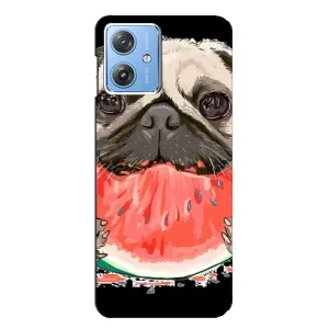 Чехол (ТПУ) Милые собачки для Motorola MOTO G54 / G54 Power (Смешной Мопс)