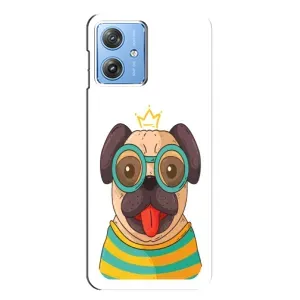 Бампер для Motorola MOTO G54 / G54 Power с картинкой "Песики" (Собака Король)