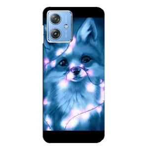 Чехол с Лисичкой для Motorola MOTO G54 / G54 Power (Яркая Лиса)