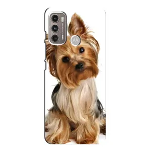 Чохол (ТПУ) Милі песики для Motorola MOTO G60 (Пес Терьєр)