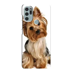 Чехол (ТПУ) Милые собачки для Motorola MOTO G60s (Собака Терьер)