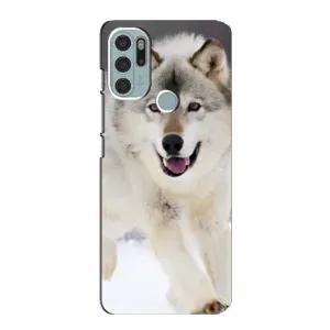 Чехол с Волком на Motorola MOTO G60s (Волк на снегу)