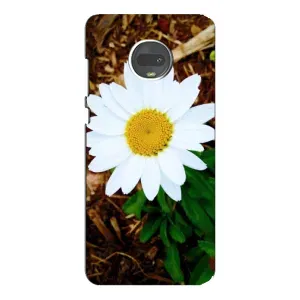 Чехол с ромашками на Motorola MOTO G7 Plus (Белая ромашка)