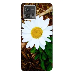 Чехол с ромашками на Motorola MOTO G72 (Белая ромашка)