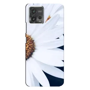 Чехол с ромашками на Motorola MOTO G72 (Пол ромашки)